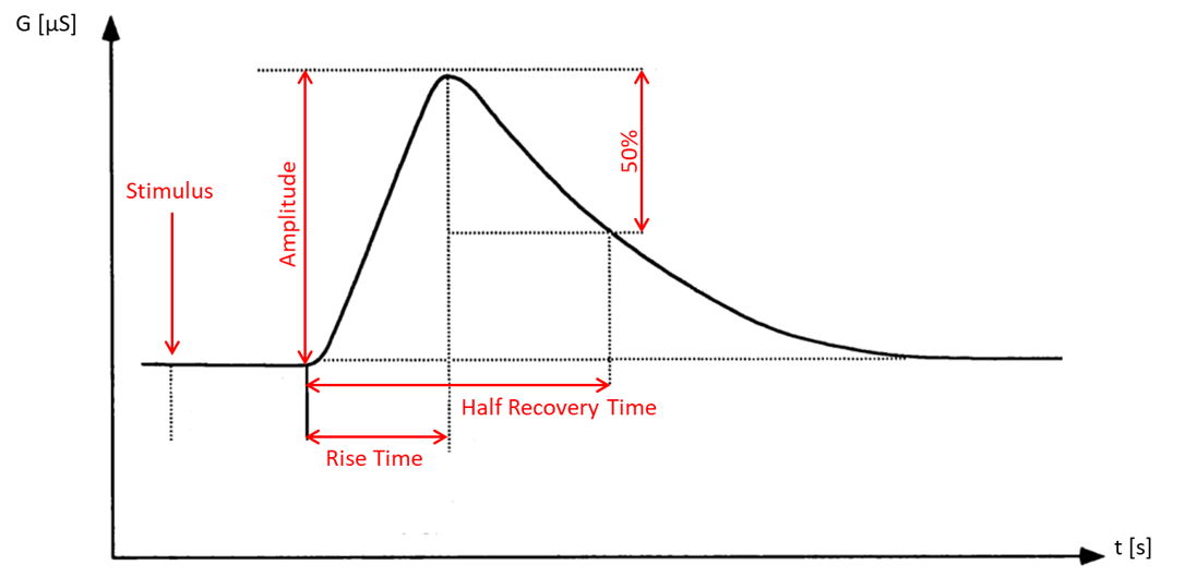 Typical skin conductance reaction (SCR)